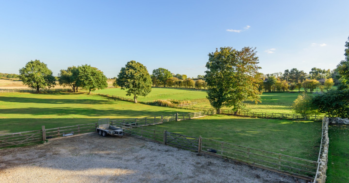 green fields